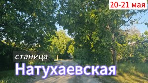 НАТУХАЕВСКАЯ.Станица после дождя. Мысли вслух о южном тепле.