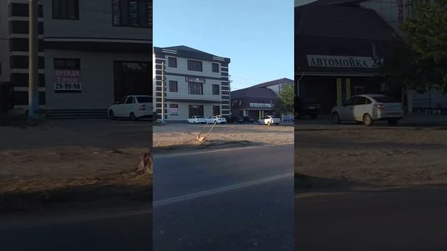 Часть 2. Едим в маршрутке. Обзор Астрахани.😊 смотреть онлайн