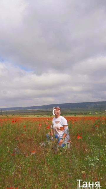 МАКИ БАЙДАРСКОЙ ДОЛИНЫ смотреть онлайн