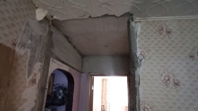 Курочка с кабачками.Подстригла Нику.Разнесла всю хату смотреть онлайн