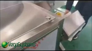 Машина для резки тыквы Vega Pumpkin Cutting H2000