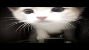 Нервы - Батареи (speed up) 1 час