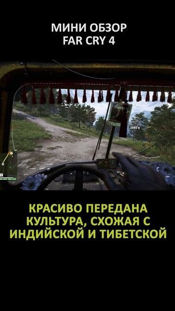 МИНИ ОБЗОР FAR CRY 4