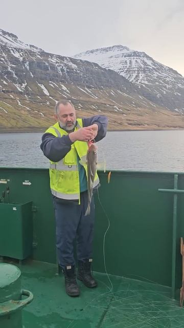 Fishing in Iceland #fishing #hobby #life #travel #like #путешествия #рыбалка #shi смотреть онлайн