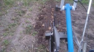 Убираем  картошку, на мотоблока с адаптером.