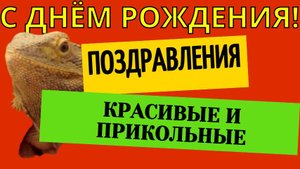 Красивое и прикольное поздравление с днём рождения