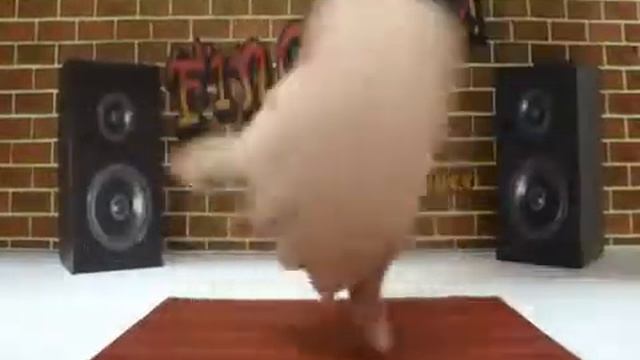 Классное видео пальцы танцуют брейк данс 😀 смотреть онлайн