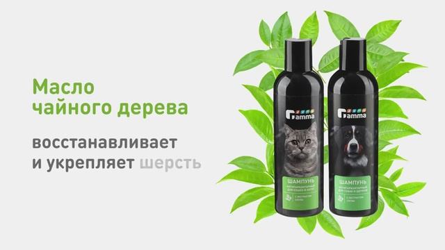 шампунь (1) (1) (1)