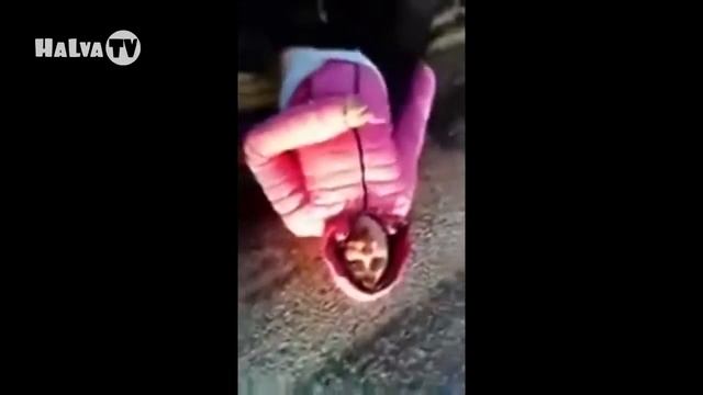 приколы над людьми, самые смешные видео 2017 смотреть онлайн