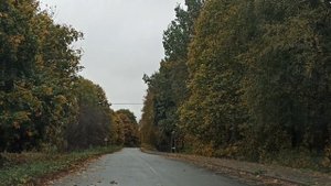 Осень. Обсыпается весь наш бедный сад  А. К. Толстой. Бр?