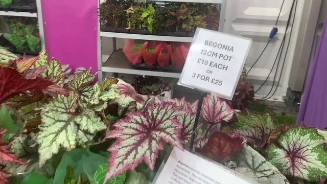 Цветочный Фестиваль в Хэмптон Корт | Июль 2024 смотреть онлайн