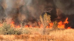 Сорокаградусная жара, грозы и угроза пожаров в Казахстане. Бишкек изнывает от жары. Погода в СНГ