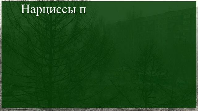 Женщина нарцисс: Кто она - лучшая подруга или мучение