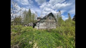 Посадников остров, садоводческое некоммерческое товарищество Дружба