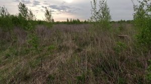 Занятие утро 18 мая 2025 г коростель