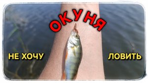 Как поймать на микроджиг карася подскажите пожалуйста?