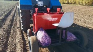 НОВАЯ ЧЕСНОКОСАЖАЛКА ЧЕСНОК ОНЛАЙН