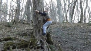 как правильно слезть с дерева ))