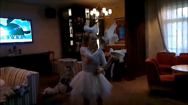 Ирина шоу с голубями в Алматы Казахстан смотреть онлайн