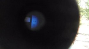 Виноград к-ш Пандора