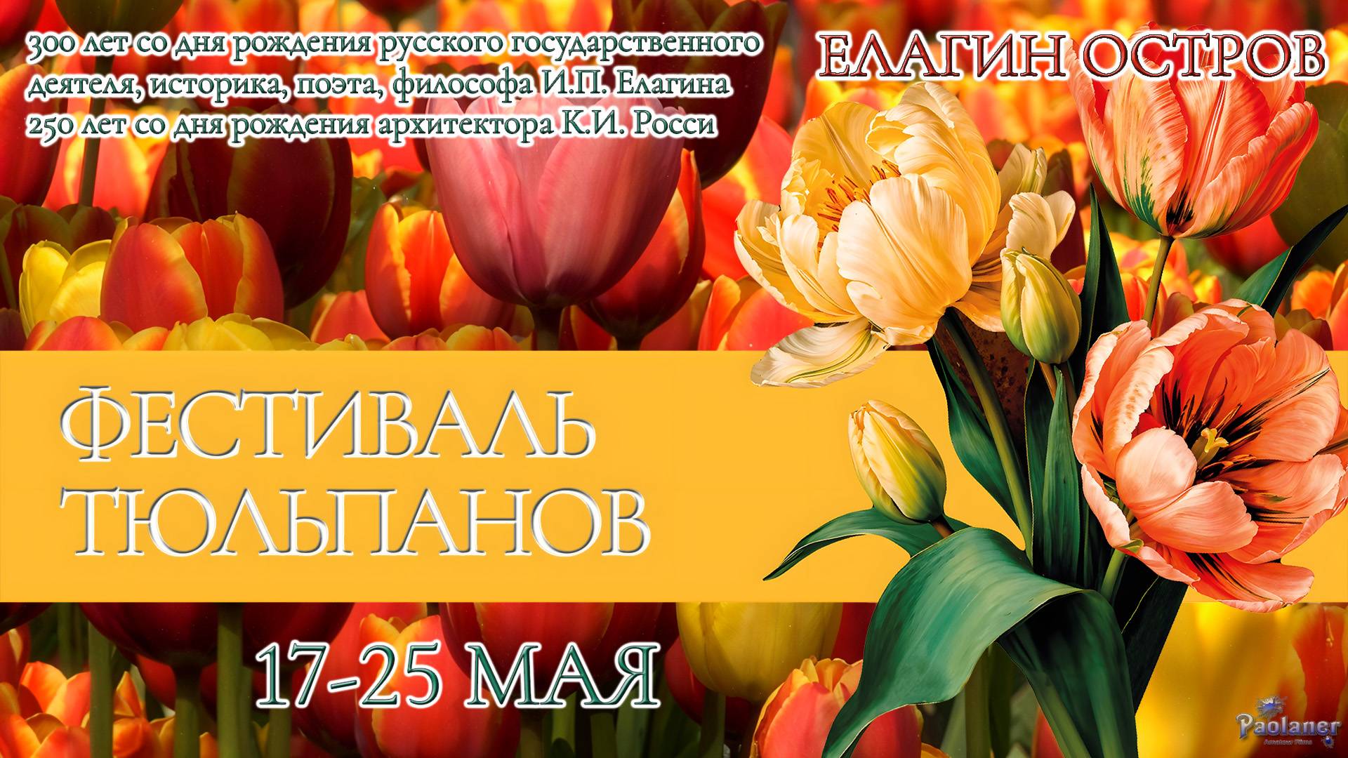 XIII Фестиваль тюльпанов на Елагином острове (2025)
