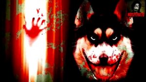 Smile.jpg (Smile.Dog) Страшные истории на ночь 🫣🫣🫣