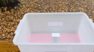 Работа в Самокат без воды. Как устроиться как работает