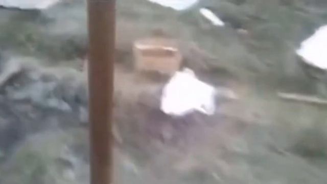 Чувак "прячется"в теалете мем 😂😂 смотреть онлайн