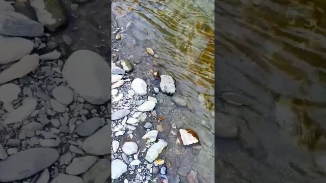 Каменное дно реки Сочи? смотреть онлайн