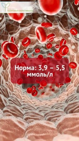 Не получается похудеть? Индекс инсулинорезистентности поможет понять причину