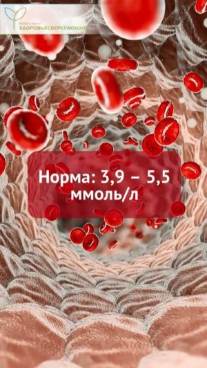 Не получается похудеть? Индекс инсулинорезистентности поможет понять причину