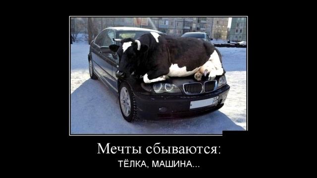 смешные демотиваторы демотиваторы свежие демотиваторы смешные свежие смешные демотиваторы 2019