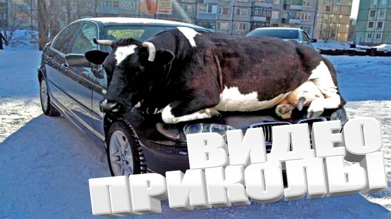ЛУЧШИЕ ПРИКОЛЫ НА РЕАЛЬНЫХ СОБЫТИЯХ СМЕШНО ДО СЛЕЗ!