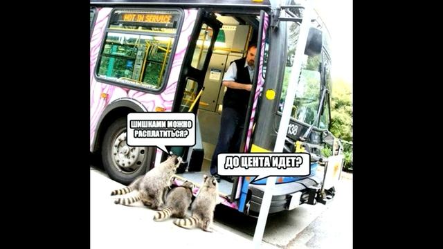 Прикольные картинки #1. смотреть онлайн