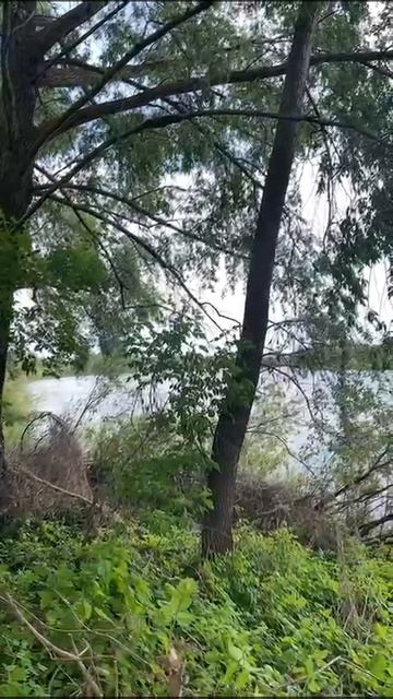 Доброе утро☀ 🌝⏰ смотреть онлайн