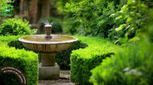 Дизайн сада и двора в английском стиле (4)