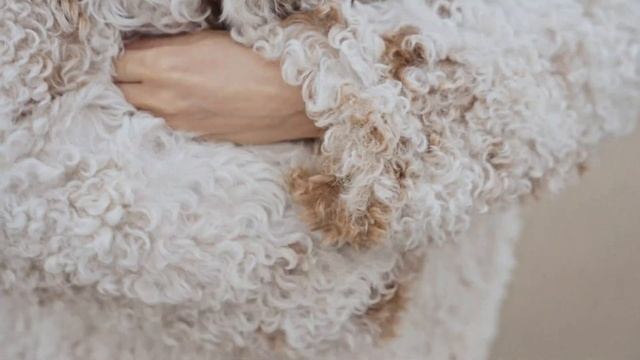 Коллекция Осень'24/Зима'25 I «Снежная Королева» — россий смотреть онлайн