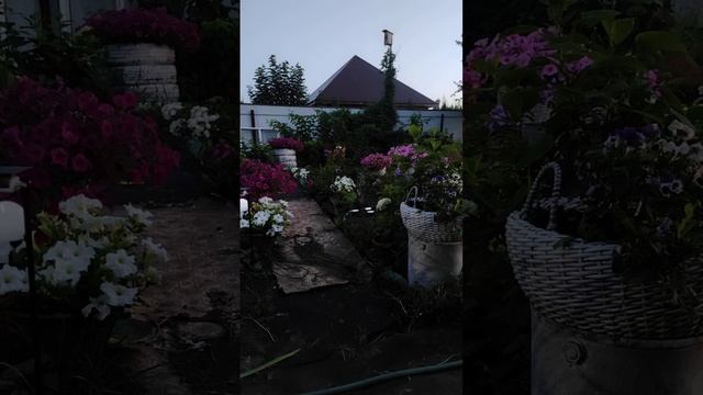 Вечерняя болталка. 20 июля, планы на выходные, почему ре смотреть онлайн