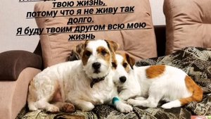 Я буду твоим другом всю мою жизнь