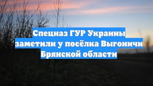 Спецназ ГУР Украины заметили у посёлка Выгоничи Брянской области