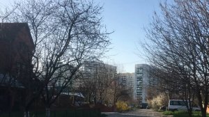 Вот как надо готовиться к КОРОНАВИРУСу, Краснодар - 22.03.2020