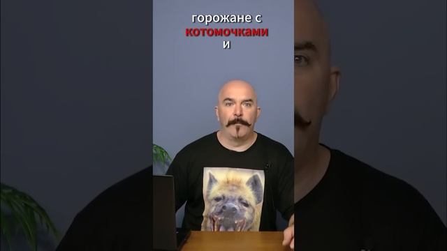 Клим Жуков про чудовищное разорение земли Русской кочевниками