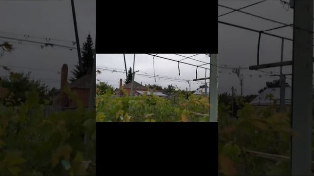 Ураган в краснодарском крае 24-25 мая. 2024 года смотреть онлайн