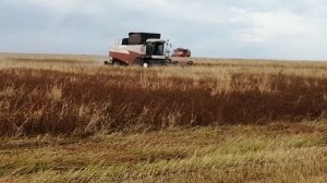 Рязанская область захаровский район село остроухово,