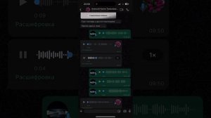 Тюльпаны Аксай отзыв как о поставщике луковиц тюльпан