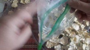 Сухие кабачки, - отличный источник клетчатки на зиму /С