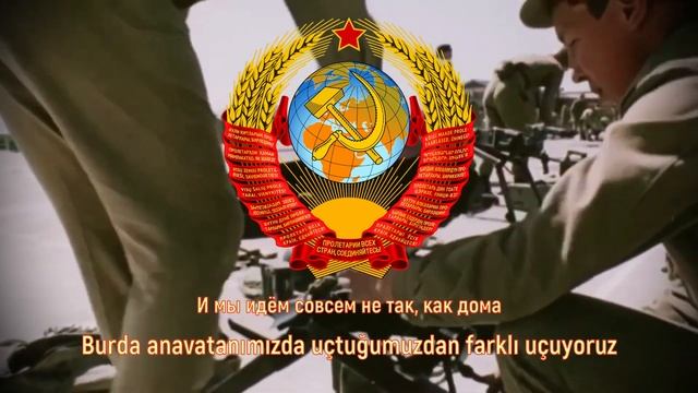 Александр Розенбаум - Чёрный тюльпан / Aleksandr Rozenbaum - Chornyy смотреть онлайн