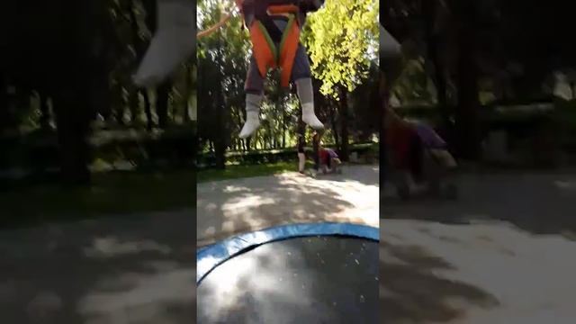 Алым на прыгунке(4) смотреть онлайн