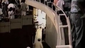 Трагедия в цирке! Слон напал на человека