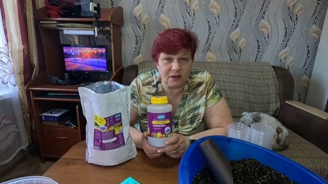 Кабачки или Цукини?! В чём отличие!! Посадим - узнаем! смотреть онлайн